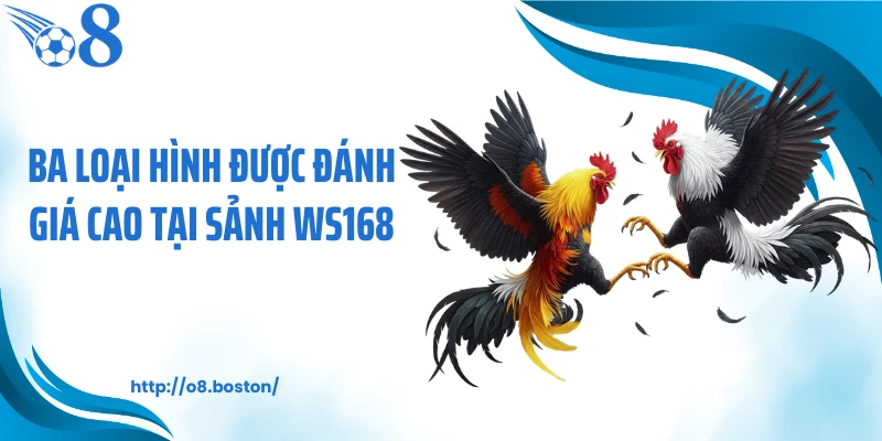 Ba loại hình được đánh giá cao tại sảnh WS168