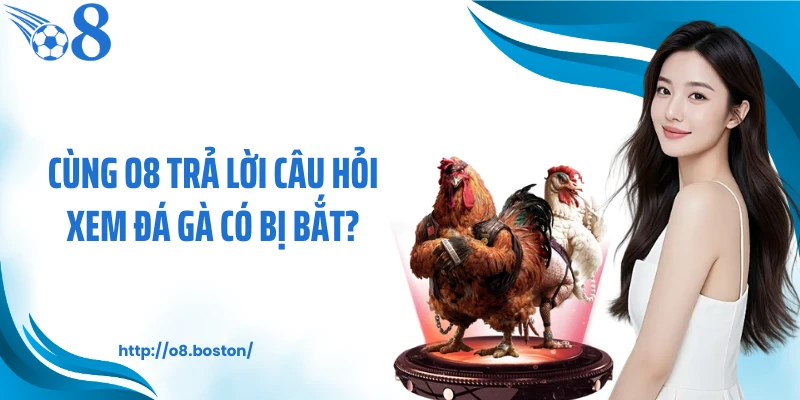 Cùng O8 trả lời câu hỏi xem đá gà có bị bắt?