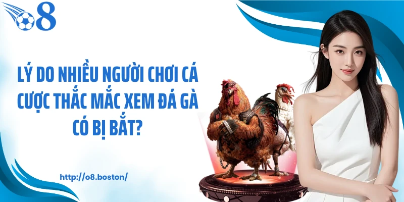 Lý do nhiều người chơi cá cược thắc mắc xem đá gà có bị bắt?