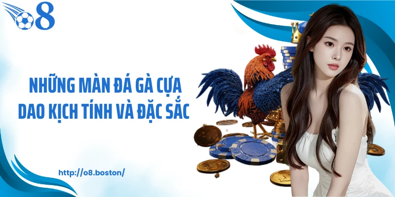 Những màn đá gà cựa dao kịch tính và đặc sắc