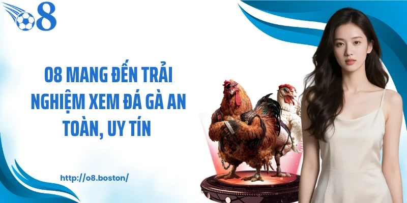 O8 mang đến trải nghiệm xem đá gà an toàn, uy tín